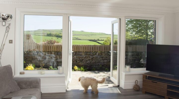 Dog pictured with French Doors in living room