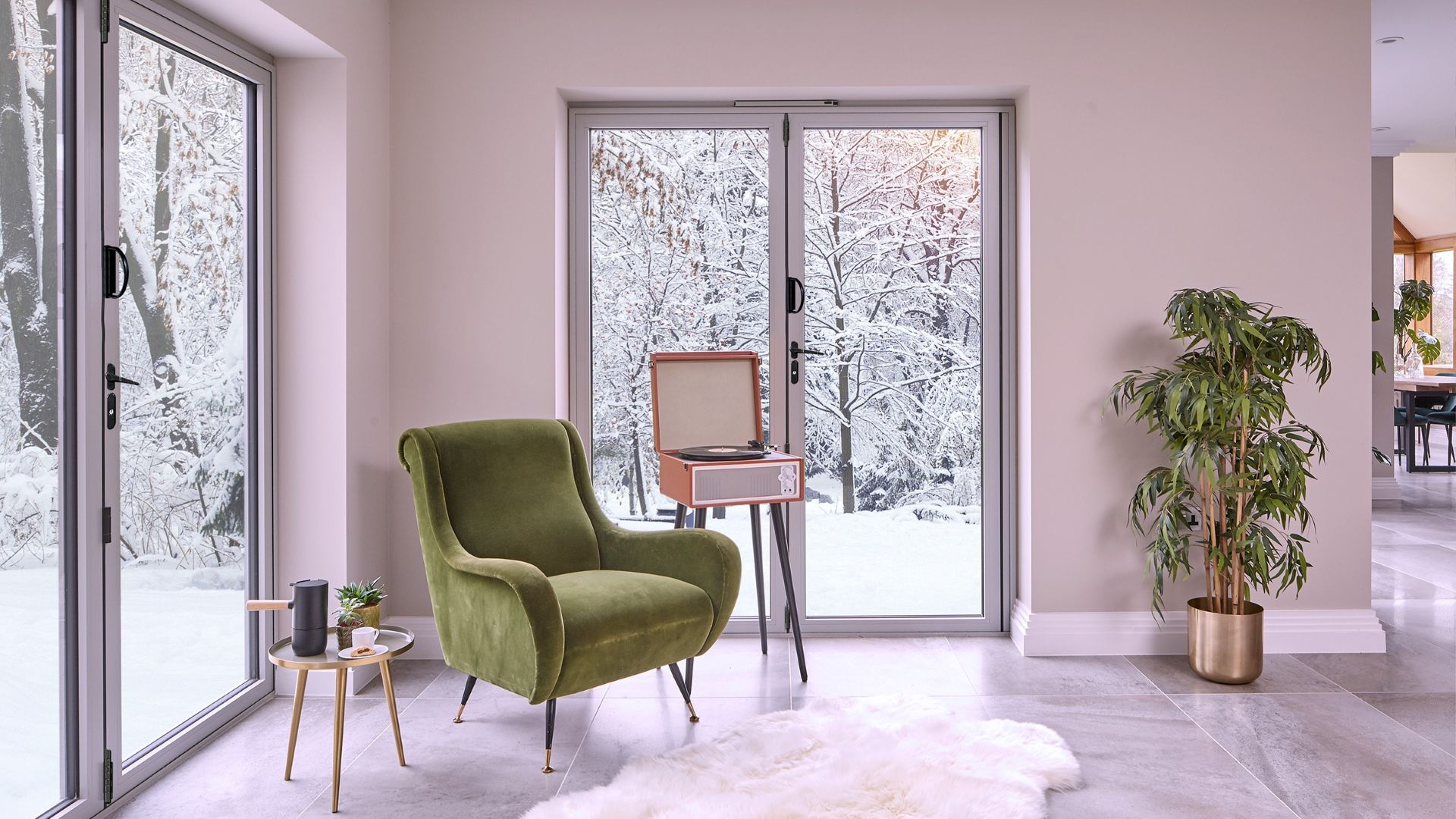 French Doors in winter with a dog staring through the doors